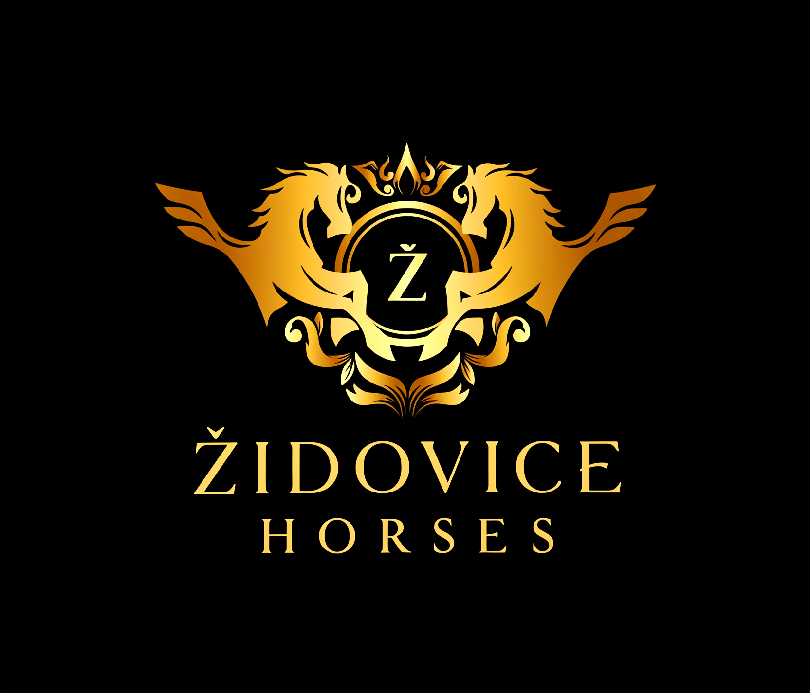 Židovice Horses USTÁJENÍ TRÉNINK PRODEJ SPORTOVNÍCH KONÍ +420 733 746 088